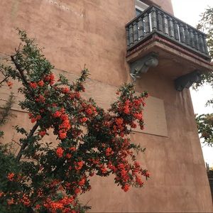 Meet your Posher, Kaela